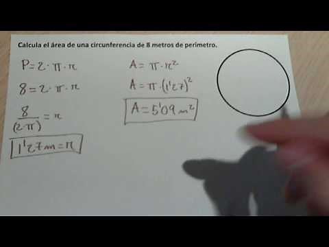 Calculate the area of ​​a circle from the perimeter.