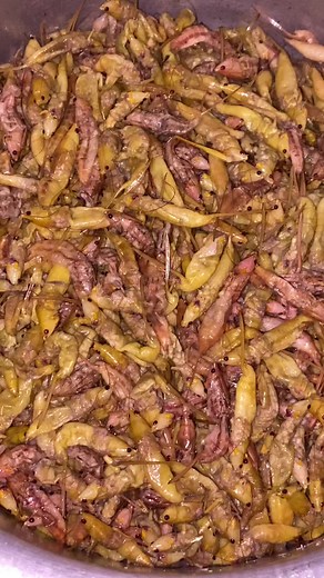 Delicious Air Fryer Grasshoppers Recipe
