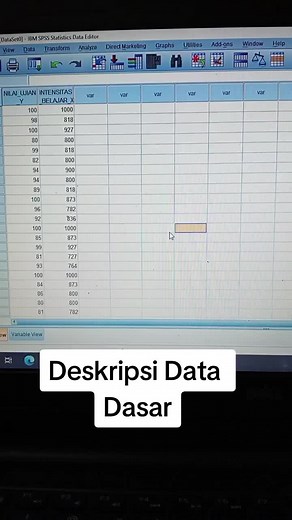 Cara Analisis Deskripsi Data dengan SPSS