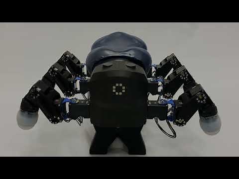 IEEE RO-MAN 2023 | BioMORF