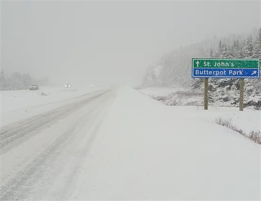 20 cm: High winds, fresh snowfall may cause outages across parts of Newfoundland - The Weather Network