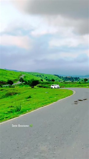 Afghan Ethnic Diversity: Tajik, Hazara, Uzbek, Pashtun, Turkmen