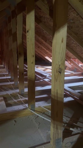 Don’t get the green fiber machine at Lowe’s and Home Depot … 🤦🏾‍♂️