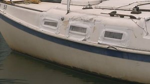 Dozens of derelict boats in False Creek
