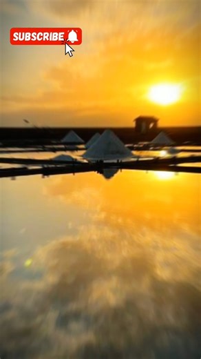 DATOS CURIOSOS QUE PARECEN MENTIRA 🔥💥