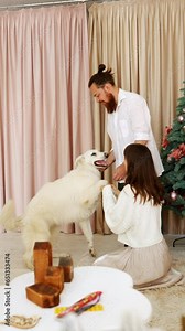 happy family mom and dad are playing near the Christmas tree with a dog. a white shepherd dog bites hands and plays with a woman. vertical video