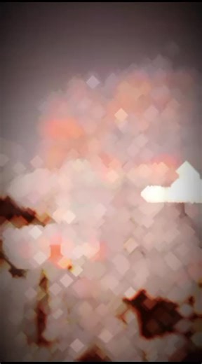 jutt jutt 3036 (@jutt.jutt.3036)’s videos with original sound - jutt jutt 3036