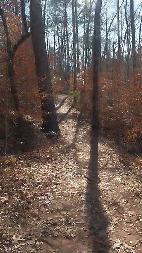 Hiking Indian Springs State Park trail into Dauset Trails. Total Hike in and out 9 miles in 3 hours.