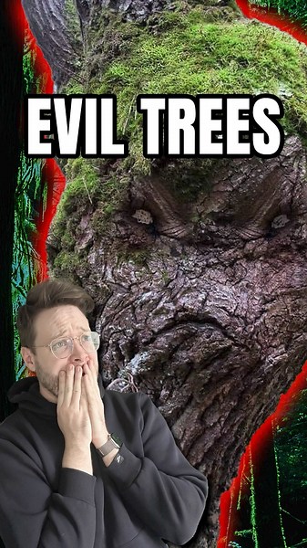 A Game where Trees Hate You