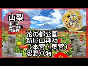 【山梨】山中湖花の都公園💐と新屋山神社⛩️✨