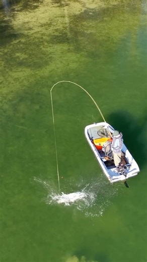 Henry Hiscox on Instagram: "THIS GIVEAWAY IS NOW CLOSED. Thank you everyone for taking part and winners will@be announced today (20th December) ** CHRISTMAS GIVEAWAY ** Details below * It’s Christmas time and we wanted to thank everyone for the epic support we’ve got this year, and once again the legends at @orvisuk have supplied some epic prizes for a giveaway * THE PRIZES * 1. A brand new @orvisuk Helios Rod! And it gets better, as you get to choose which WT rod you want out of the range! 2. A