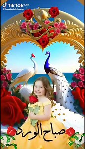 Ben Hamouda on Reels