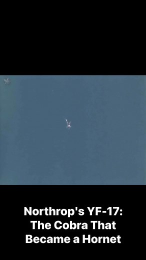 Northrop's YF-17: The Cobra That Became a Hornet In the famous Lightweight Fighter competition, two planes fought for the future of American air power. This is the story of the "loser": the Northrop YF-17 Cobra. Explore the radical aerodynamics and twin-engine design that gave this prototype its incredible agility. See how, despite losing the Air Force contract to the YF-16, the U.S. Navy saw the YF-17's immense potential, adopting it to create one of the most iconic and successful naval fighter