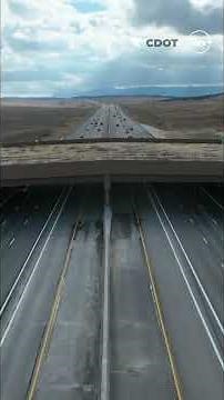 New wildlife overpass getting used by animals
