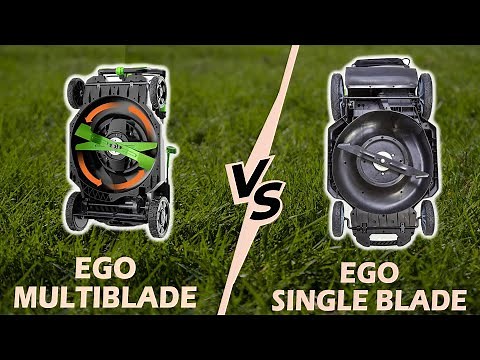 Ego Multi-Blade vs Single Blade: Breaking Down Their Differences (Which Is Better for You?)