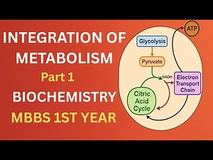 Integration of Metabolism – Part 1 | Biochemistry | MBBS 1st Year | Medical Pathshala