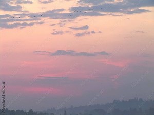 Zoom-out of a flock of birds flying over Kampala, Uganda.