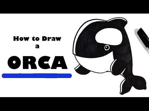 How to Draw an Orca - Chibi - Easy Pictures to Draw