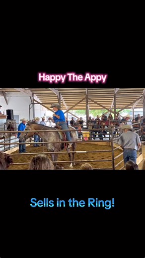 Varnish Appaloosa Sells In The Ring! | Free Spirit Equestrian