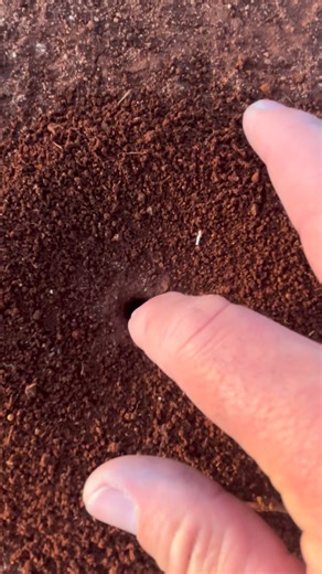 Crazy Werrie on Instagram: "Its a different hole"