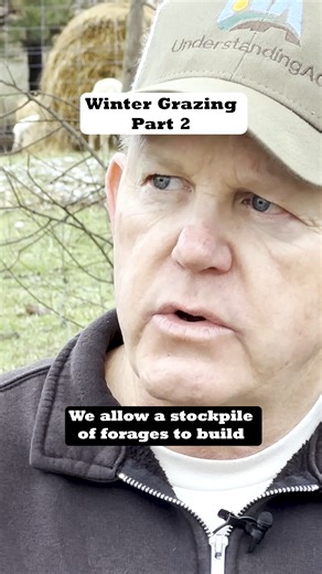 Let’s dive in to winter grazing planning we mentioned in Part 1. By allowing healthy paddocks to rest leading up to winter, you stockpile forage, ensuring your animals have enough to graze on even during the harshest winters. Yes, it's possible even in regions like Saskatchewan, Minnesota, Alberta, and beyond, where winter can be severe. By mimicking natural grazing patterns and implementing strategic land management, AMP grazing enables your farm to thrive year-round. But it's not just about qu