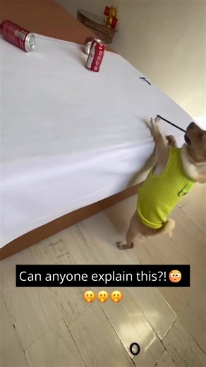 Accuracy 100% Damage 0% | DOOM Gaming