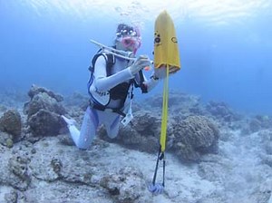 サーチ&リカバリー（捜索と回収）①/4