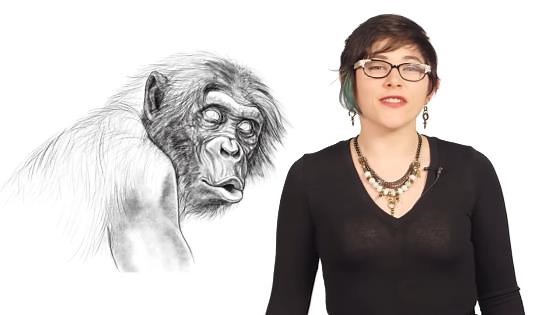 How a bonobo’s problem-solving turns a simple arcade maze into a cognitive battleground