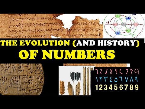 The story of how NUMBERS EVOLVED!