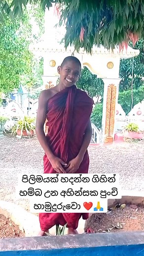 #පිලිම_නිර්මාණය_කිරීම_❤️❤️🙏🙏 #ashan__art___gallery #තෙරුවන්_සරනයි___🙏🙏🙏🙏❤️ #මමද_සියලු_සත්වයෝද_නිබ්බාන_පරම_සුකයෙන්ම_සුකිත_තර_වෙත්වා