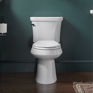 120 reactions · 31 shares | Your toilet awaits. | KOHLER | Facebook