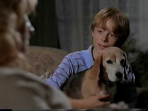 Looney Tunes Presents Tweety Tweet and Lovely VHS opening