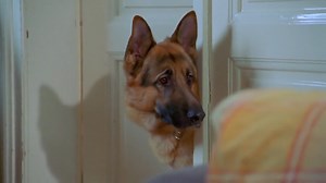 Rex felügyelő S05E07