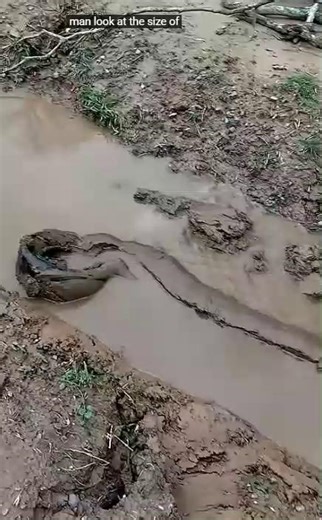 Real talk… has anyone here used old tires to clean out a culvert and did it actually work? | repurposed MATERIALS