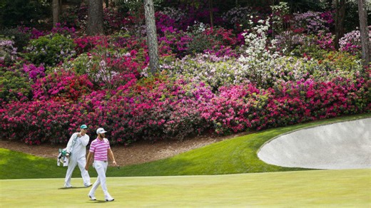 Walking this golf course is now a botanist’s dream