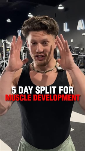 Mens Fitness & Workouts | Shred & Build on Instagram: "5-Day Split for Muscle Development A simple weekly structure designed to build size, strength, and balanced aesthetics. Full 12-Week Program 🔗 in bio. My program shows you step-by-step. #workoutsplit #buildmuscle #mensfitness #gymroutine #fitnesstips"