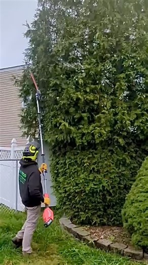  Licensed Tree Expert: - Tree Removal & Stump Grinding - Tree Pruning & Shrub Shaping - Winterization & Deer Protection - Planting  To schedule a free consultation call us at 732-261-0277 or go to TreecoSolutions.com #TreecoSolutions #TreeExpert #TreeService #Landscaping #PlantHealthcare | Treeco Solutions - Expert Arborist | Facebook