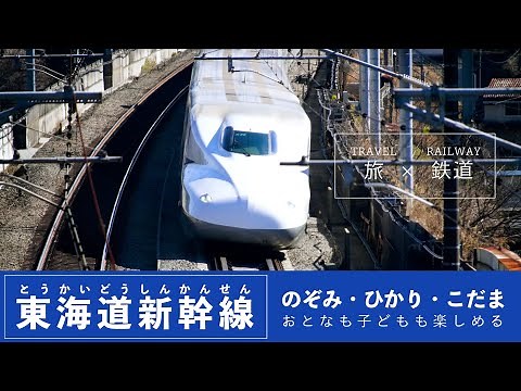 迫力の走行シーンと絶景！東海道新幹線の旅をおとどけ（東京~名古屋）【JTB公式Official】