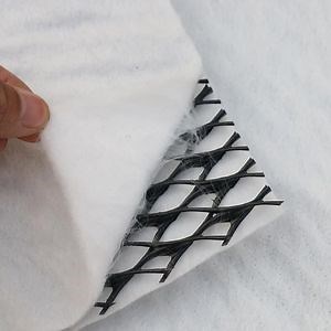[Hot Item] Composite Geosynthetics Net Drainage Network for Drainage Layer Geonet Geomat 6mm Geonet
