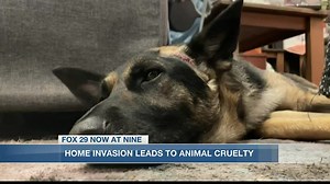 Home invasion victim speaks out on stabbing of dog