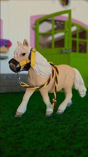DIY schleich halter for buttercup schleich horse Collection