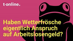 Die neue t-online Wetter-App