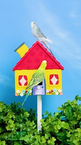 8.7K views · 663 reactions | do you think these birds sing when the mail comes?  | Nick Jr. | Facebook