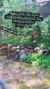 Haiku 6-24-25 #poetrycommunity #poem #haikupoem #haikupoetry #creativewriting #kindle #writersofinstagram #write #writerscommunity #writersclub #writers #author #love #blackpoets #inspirationalquotes #writerslife #writingcommunity #poet #poetry #poetryofinstagram #poemsofinstagram #quotes #instagood #reading #blackpoetry #quotesdaily #igpoets #instapoem #novaskyzone #reels | Nova Sky