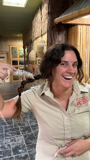 My Sand Monitor Did Not Like My Ponytails😂😁 . . . #cute #moment #wow #haha #wildlife #fun #animal #AmaZing #video #facebookreels #reelsfb #instagram #moments #new #hair #style #happy #lizard #eating | The Reptile Zoo