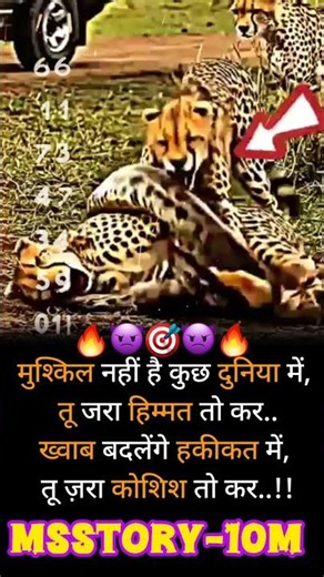 tiger V/S python #motivation #viralvideo #facts #shayari #yt