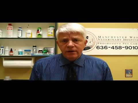 Pet Tips - 10 Signs of Cancer