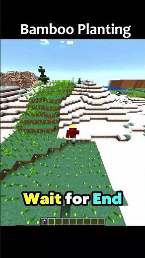 Minecraft Commands 🎍Bamboo Plant💀pt.134 #minecraft #java