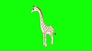 Download Cartoon Green Screen - Animals - Giraffe 2D Animation for free