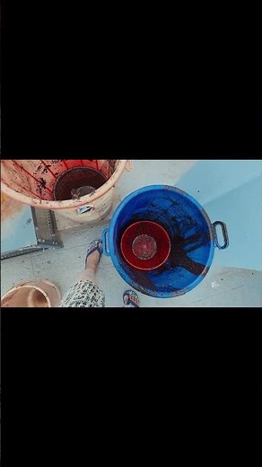 Doing THIS Kills Your Compost! 🛑 (Wet Waste Fix)